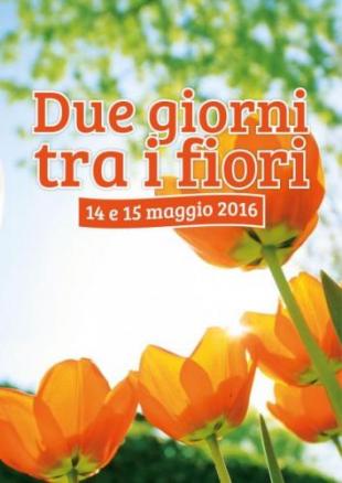 EVENTI, FIERE E SAGRE