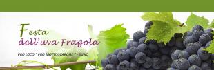 FESTA DELL'UVA FRAGOLA: IL PROGRAMMA COMPLETO